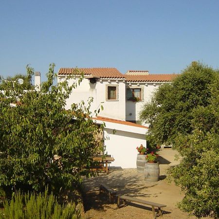 Agriturismo Vermentino Monti Екстер'єр фото