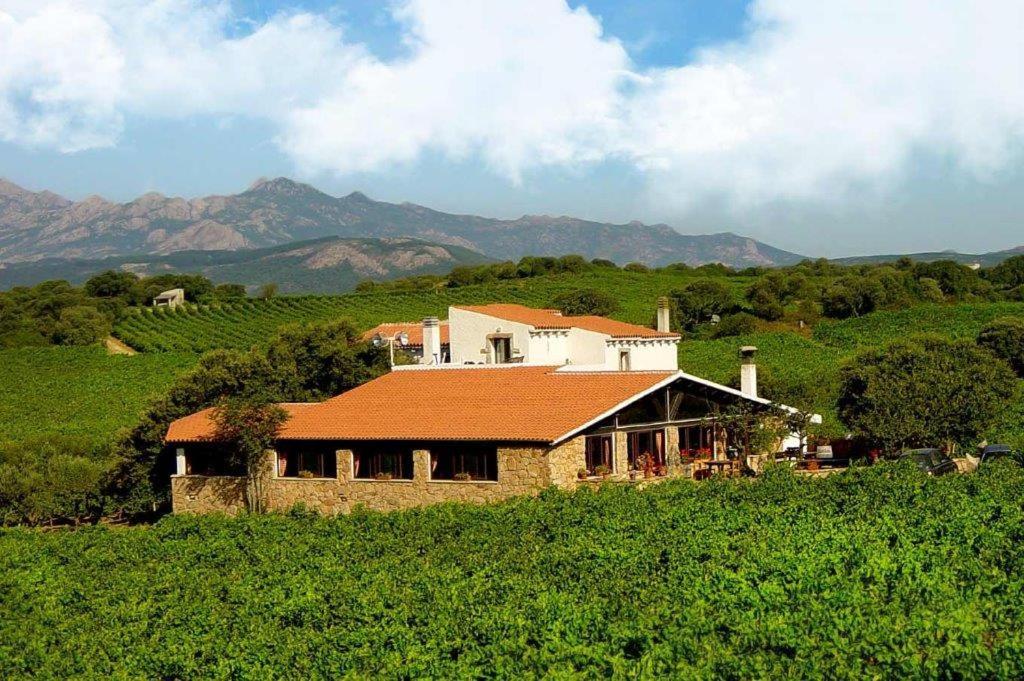 Agriturismo Vermentino Monti Екстер'єр фото