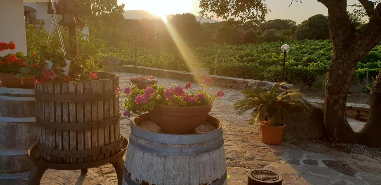 Agriturismo Vermentino Monti Екстер'єр фото