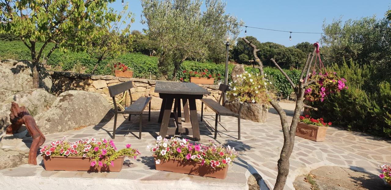 Agriturismo Vermentino Monti Екстер'єр фото